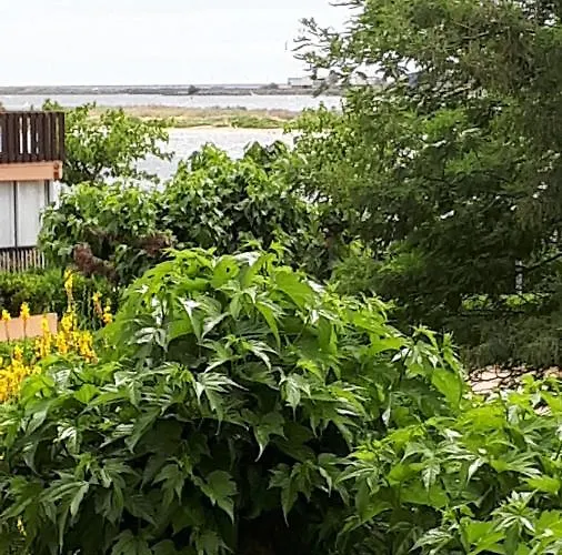 La Playa Груиссан